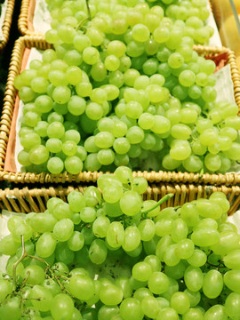 新疆绿葡萄