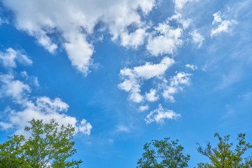 台风过后的天空