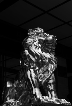 黑白狮子雕刻