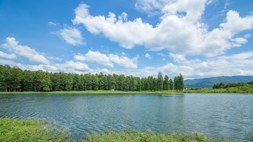 四明湖湿地