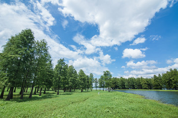 四明湖湿地