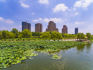 莒南鸡龙河生态湿地公园