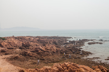 海灘