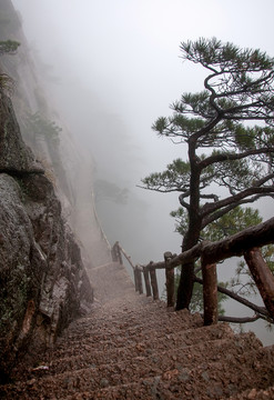 黄山云雾阶梯