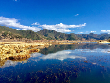 泸沽湖草海