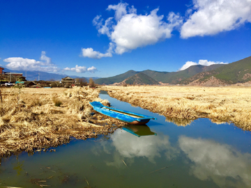 泸沽湖芦苇荡