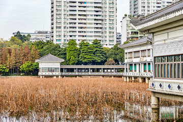 荔湾湖公园残荷古建