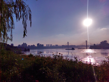 李家沱江边风景