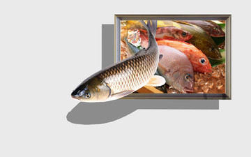 3D畫魚