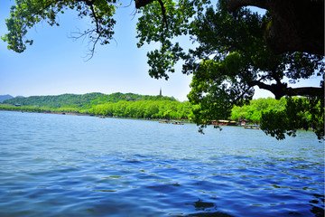 西湖沿岸