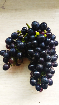 葡萄水果鲜果