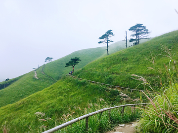 草甸云海