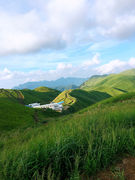 高山草场