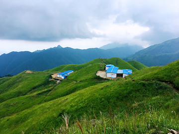 高山草场