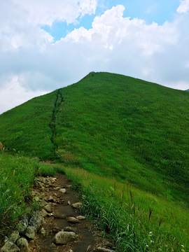 高山草场