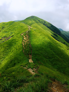 高山草场