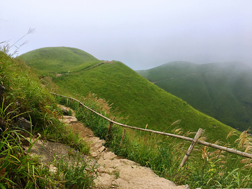 高山草场