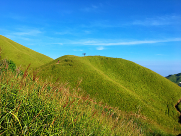 高山草场