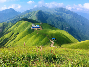 高山草场