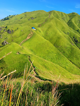 高山草场