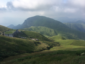 高山草甸