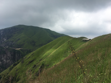 高山草场