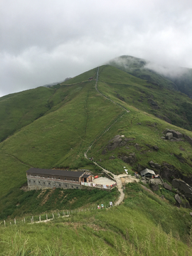 高山草甸