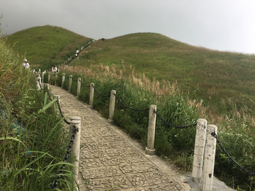 高山草甸