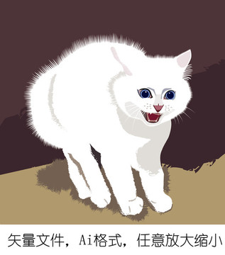 猫