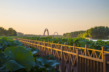 莒南县鸡龙河水利风景区