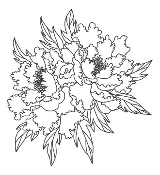 線描牡丹花