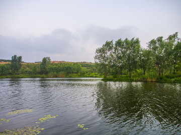 龙王河湿地公园