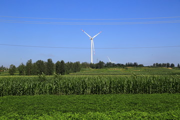 农田与风机