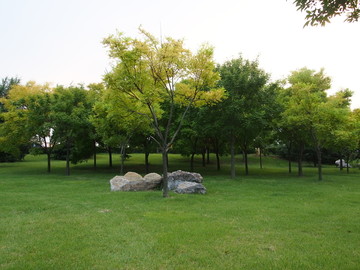 莒南县鸡龙河水利风景区