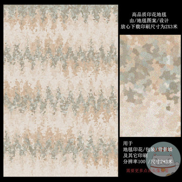 北歐地毯現(xiàn)代抽象地毯客廳地毯