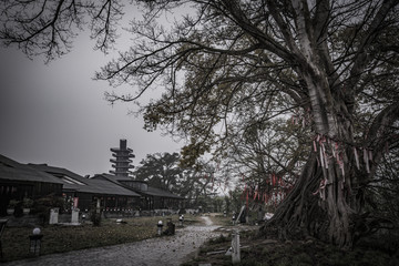 四川古镇老照片