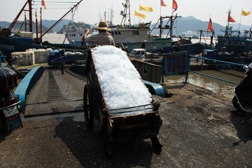 象山石浦渔港渔船装载冷藏冰块