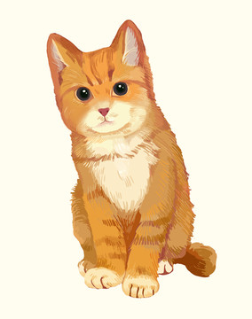 貓