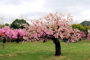 三生三世十里桃花