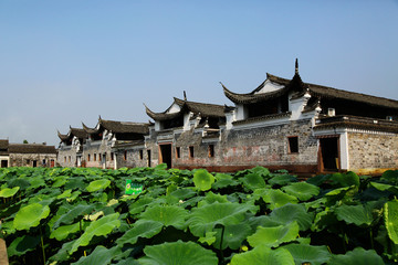 宁波走马塘古村