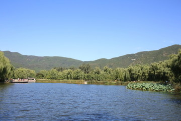 北京植物园和远山