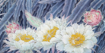 火龍果花
