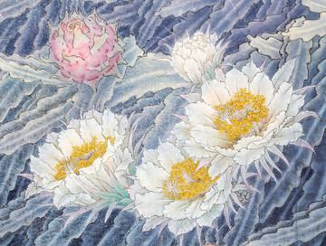 火龍果花