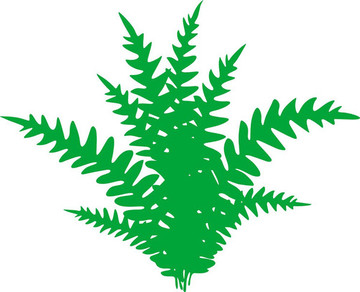 草