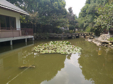 都江堰风景