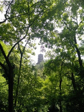 都江堰風景