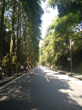 青城山景区