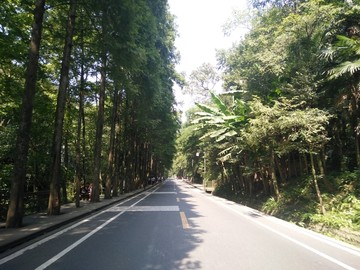 青城山景区