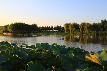 莒南县鸡龙河水利风景区