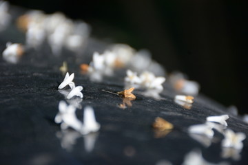 雨后